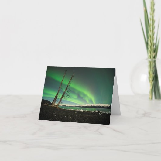 Leaning Tree Aurora Kaart (Voorkant)