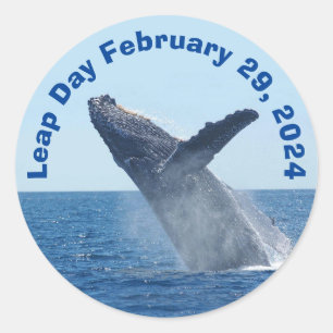 Leap Day 29 februari 2024 Ronde Sticker