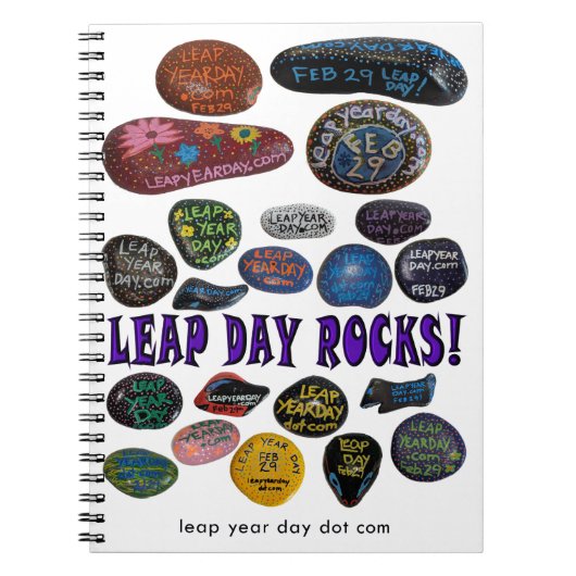 LEAP DAY ROCKS! NOTITIEBOEK (Voorkant)