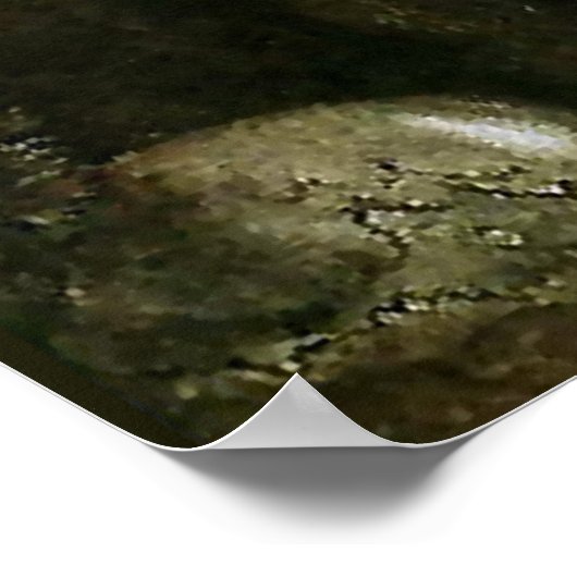 “Leap the Elk” Aquarel van John Bauer Poster (Hoek)