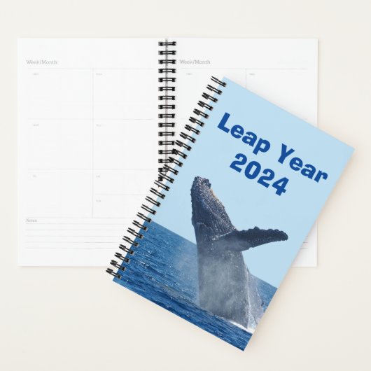 Leap Year 2024 Planner (Display)