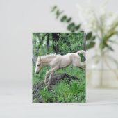 Leaping Colt Briefkaart (Staand voorkant)