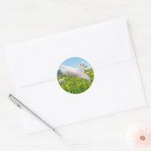 Leaping Lambs Pasen afspelen Ronde Sticker (Envelop)