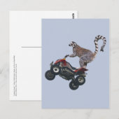 Leaping Lemur Briefkaart (Voorkant / Achterkant)