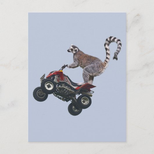Leaping Lemur Briefkaart (Voorkant)