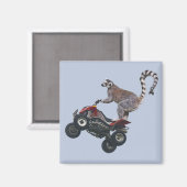 Leaping Lemur Magnet (Recto/Verso)