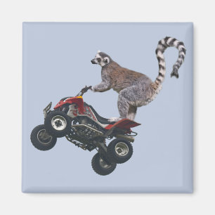 Leaping Lemur Magnet Magneet