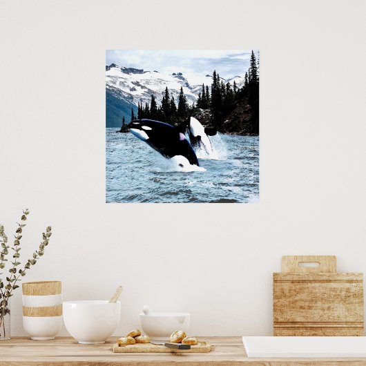 Leaping Orca Poster (Keuken)