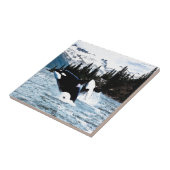 Leaping Orca Tegeltje (Zijkant)