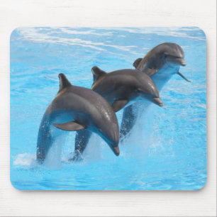 Leapings Dolphins Mouse Mat Muismat