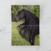 Leaps Friesian Stallion - Carte de voeux Cheval (Intérieur)