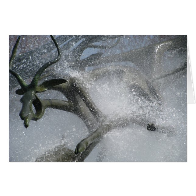 Leapwater (Voorkant Horizontaal)