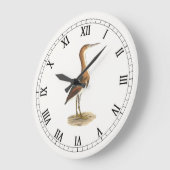 Least Bittern (Ixobrychus exilis) vogels uit New Y Grote Klok (Hoek)