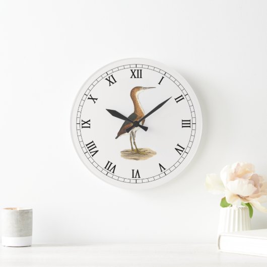 Least Bittern (Ixobrychus exilis) vogels uit New Y Grote Klok (Huis)