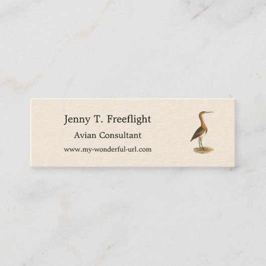 Least Bittern (Ixobrychus exilis) vogels uit New Y Mini Visitekaartje (Voorkant)