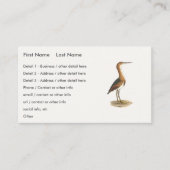 Least Bittern (Ixobrychus exilis) vogels uit New Y Visitekaartje (Voorkant)