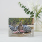 Leatherback Turtle Briefkaart (Staand voorkant)