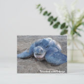 Leatherback Turtle in Trinidad en Tobago Briefkaart (Staand voorkant)