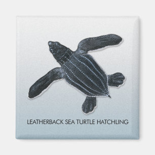 Leatherback Zee Turtle Hatchling Magnet Magneet