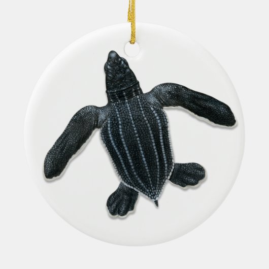Leatherback Zee Turtle Hatchling Ornament (Achterkant)