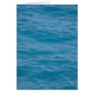 L'eau bleue des Caraïbes