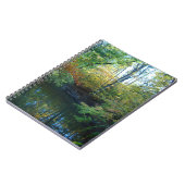 L'eau dans le carnet d'automne (Côté gauche)