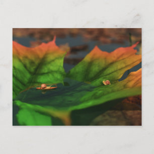 L'Eau Est Grande Carte Postale
