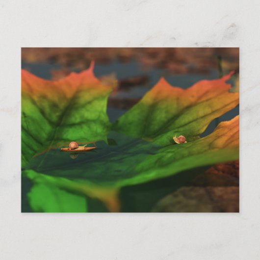 L'Eau Est Grande Carte Postale (Devant)