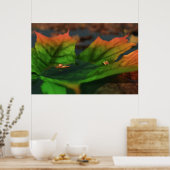 L'Eau Est Grande Impression (Cuisine)