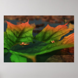 L'Eau Est Grande Impression