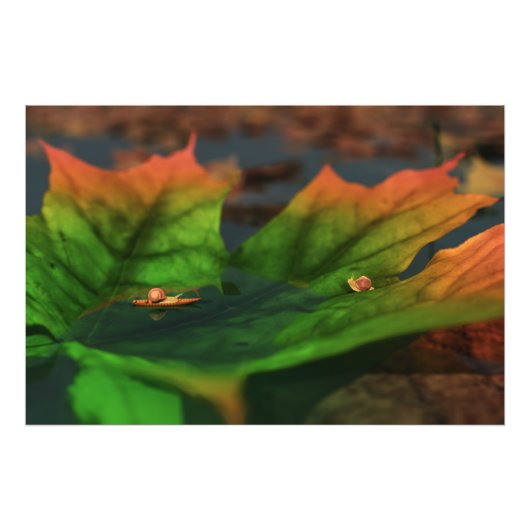 L'Eau Est Grande Photo (Devant)