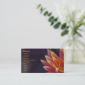 L'eau Lilly sur le carte de visite pourpre (Debout devant)