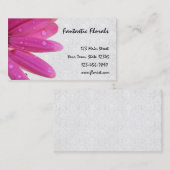 L'eau rose de Gerbera laisse tomber le carte de (Devant / Derrière)