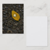 L'eau tourne les cartes de visite nacrés (Devant / Derrière)