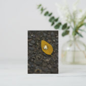 L'eau tourne les cartes de visite nacrés (Debout devant)