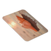 Leave a little Sparkle Horse conch Shell card Magneet (Rechterzijde)