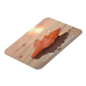 Leave a little Sparkle Horse conch Shell card Magneet (Linkerzijde)