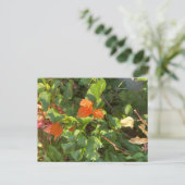 Leaves Briefkaart (Staand voorkant)
