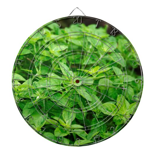 Leaves Dartbord (Voorkant)