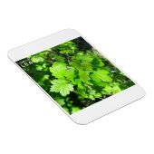 Leaves Magneet (Rechterzijde)