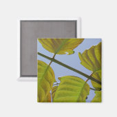 Leaves Magnet Magneet (Voorkant / Achterkant)