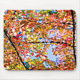 Leaves Muismat
