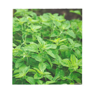 Leaves Notitieblok