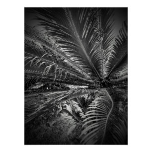 Leaves Perfect Poster