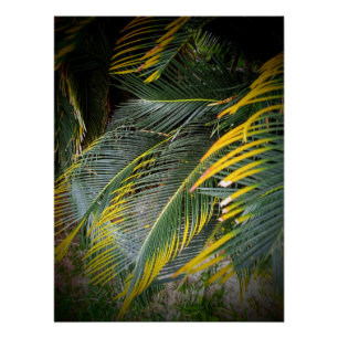 Leaves Perfect Poster