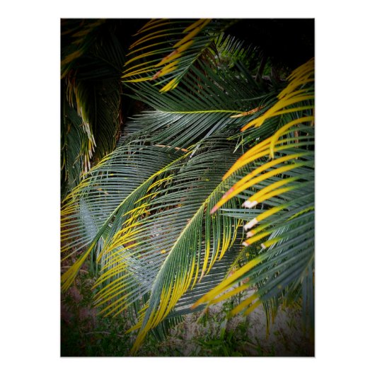Leaves Perfect Poster (Voorkant)