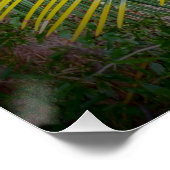 Leaves Perfect Poster (Hoek)