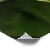 Leaves Poster (Hoek)