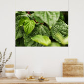 Leaves Poster (Keuken)
