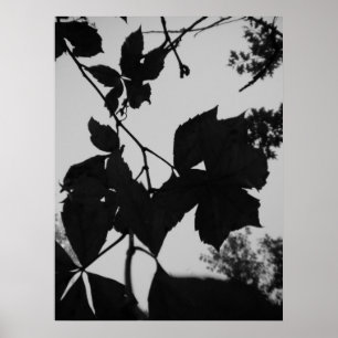 Leaves Poster